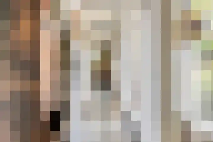 De Scheifelaar 307 Veghel thumbnail 18