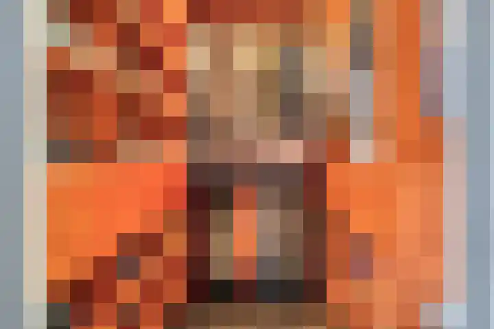 De Scheifelaar 307 Veghel thumbnail 22