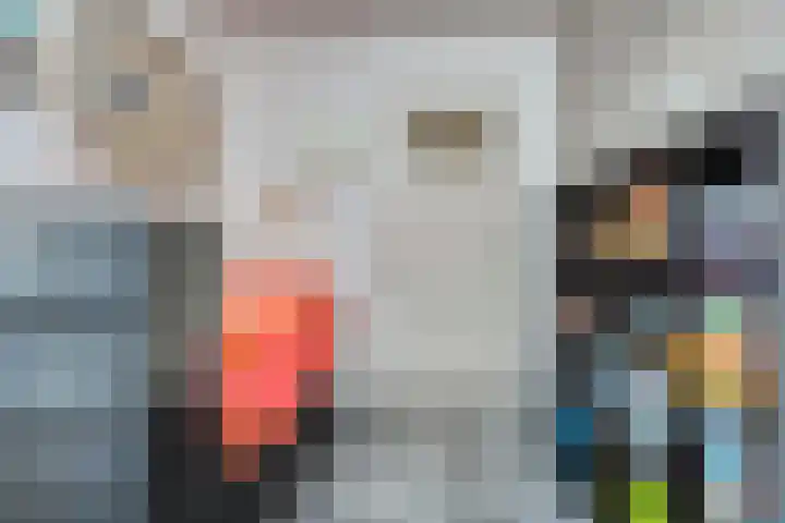 De Scheifelaar 307 Veghel thumbnail 25