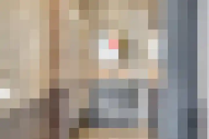 De Scheifelaar 307 Veghel thumbnail 27