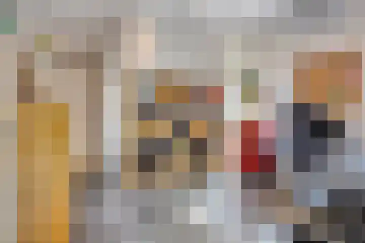 De Scheifelaar 307 Veghel thumbnail 30