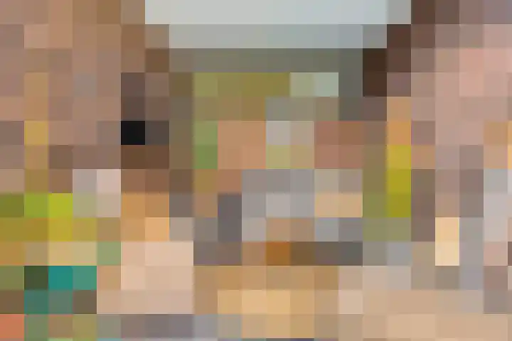 De Scheifelaar 307 Veghel thumbnail 33