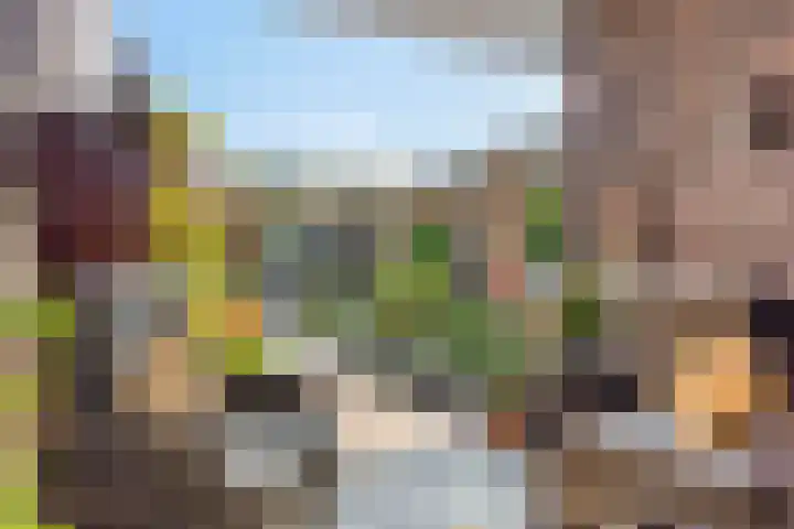 De Scheifelaar 307 Veghel thumbnail 34