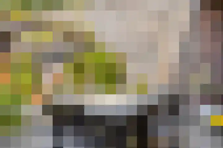 De Scheifelaar 307 Veghel thumbnail 36