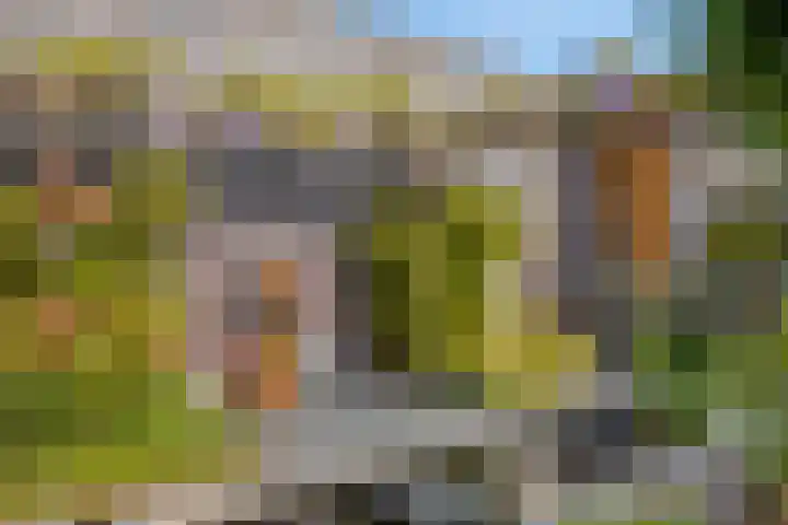 De Scheifelaar 307 Veghel thumbnail 38