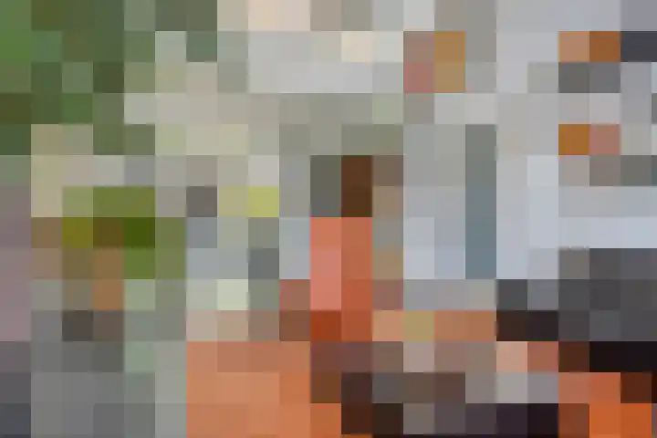 De Scheifelaar 307 Veghel thumbnail 5