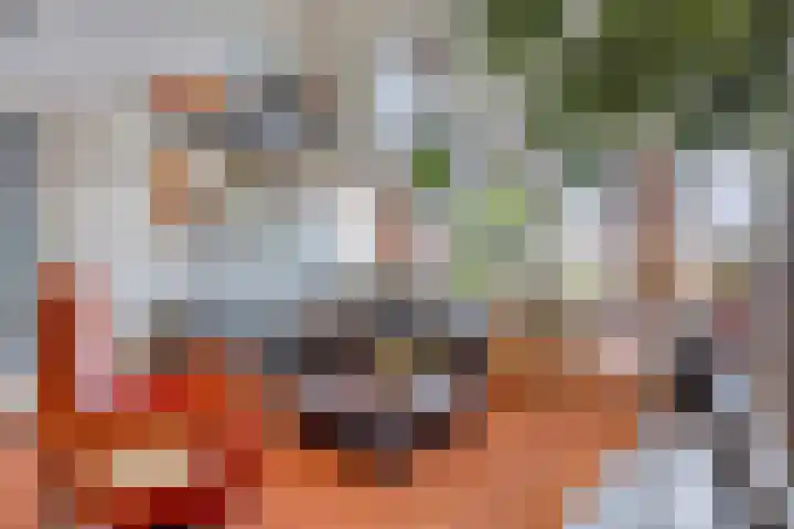 De Scheifelaar 307 Veghel thumbnail 6