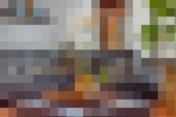De Scheifelaar 307 Veghel thumbnail 8