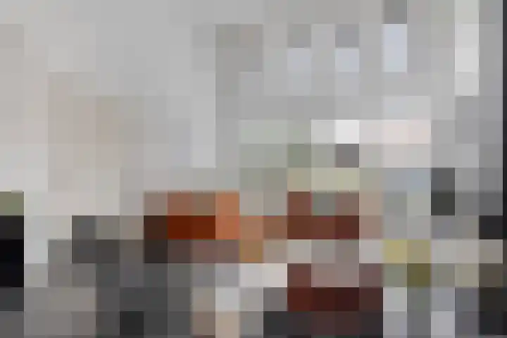 De Scheifelaar 314 Veghel thumbnail 10