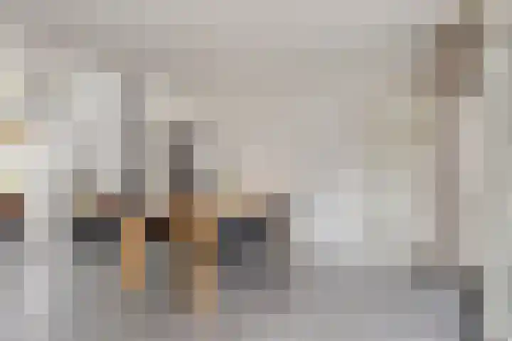 De Scheifelaar 314 Veghel thumbnail 13