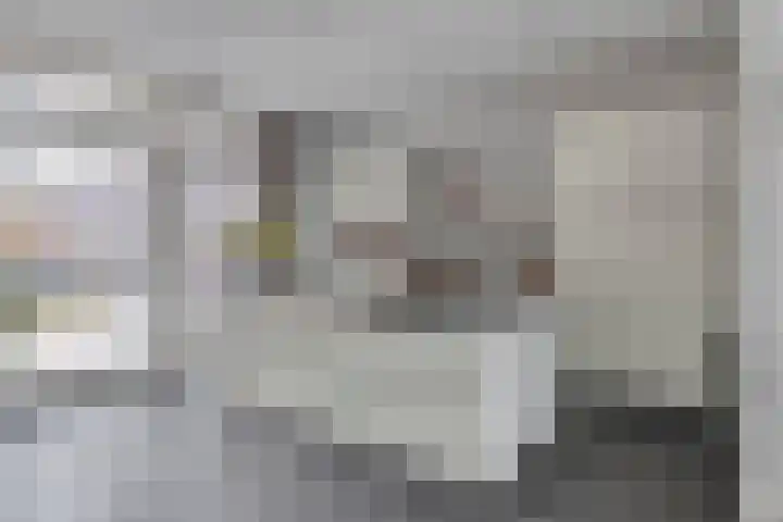 De Scheifelaar 314 Veghel thumbnail 15
