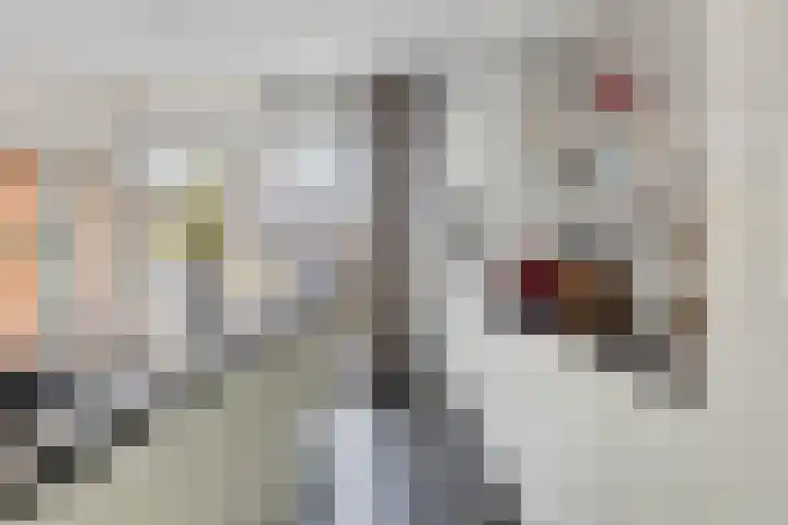De Scheifelaar 314 Veghel thumbnail 16