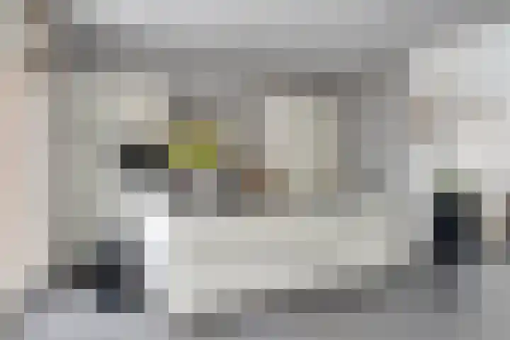 De Scheifelaar 314 Veghel thumbnail 17