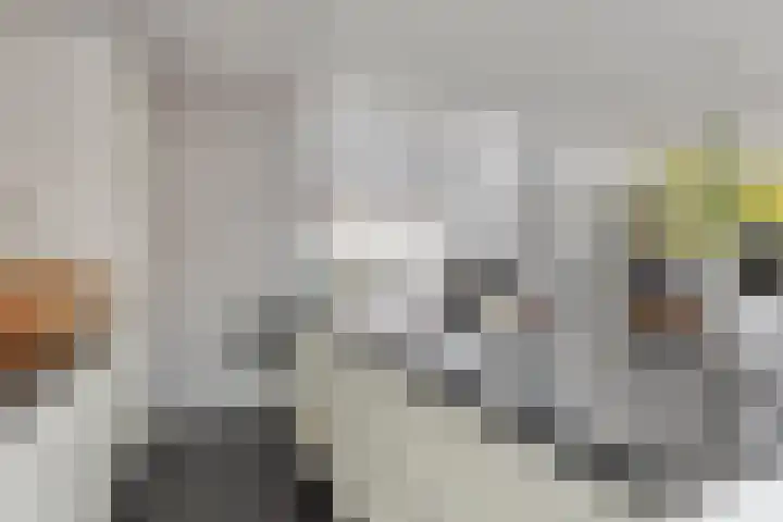 De Scheifelaar 314 Veghel thumbnail 18
