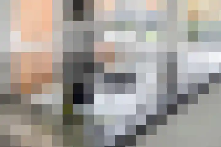 De Scheifelaar 314 Veghel thumbnail 19