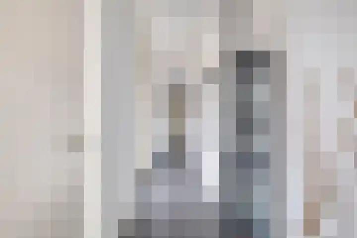 De Scheifelaar 314 Veghel thumbnail 20