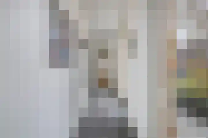 De Scheifelaar 314 Veghel thumbnail 21
