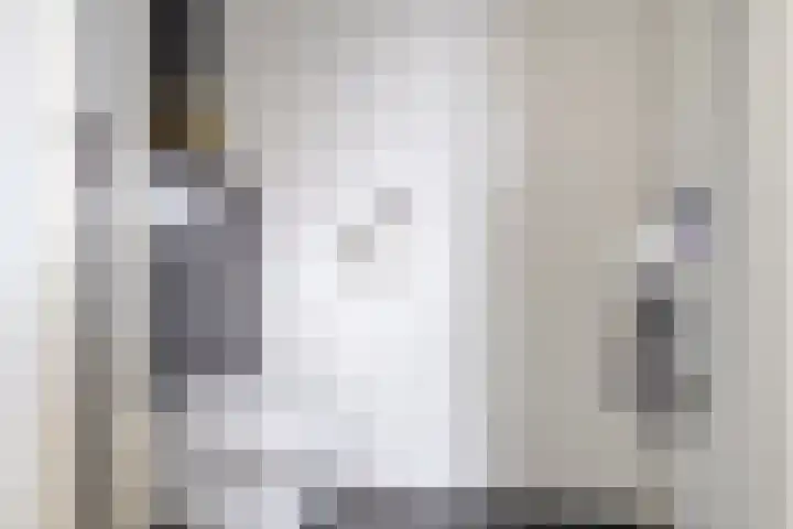 De Scheifelaar 314 Veghel thumbnail 22