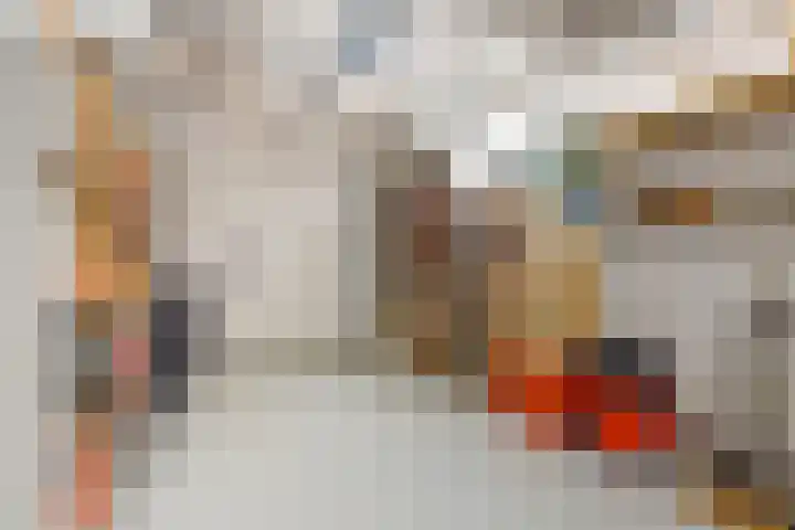 De Scheifelaar 314 Veghel thumbnail 24