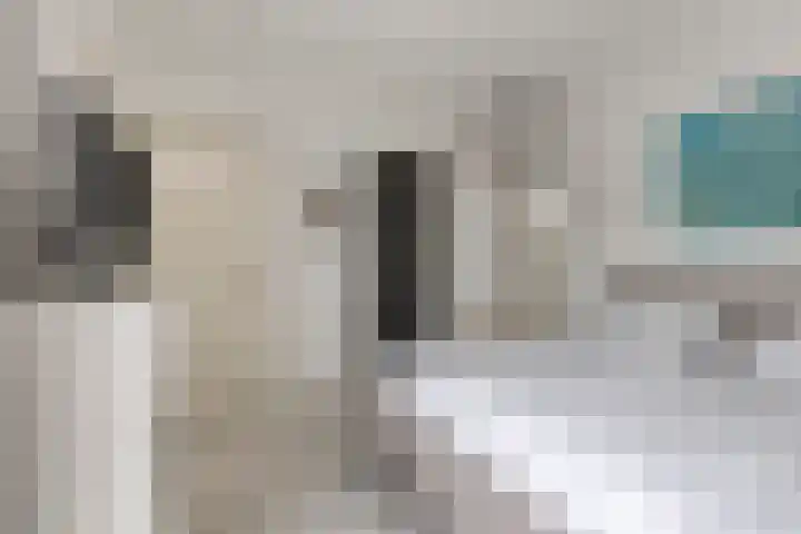 De Scheifelaar 314 Veghel thumbnail 27