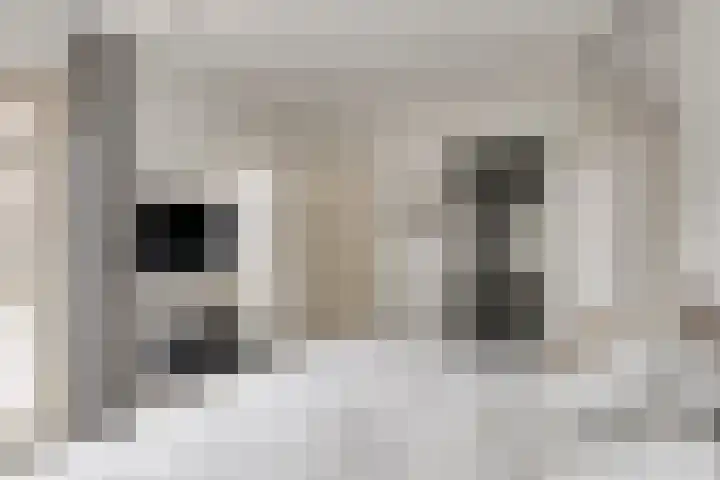 De Scheifelaar 314 Veghel thumbnail 28