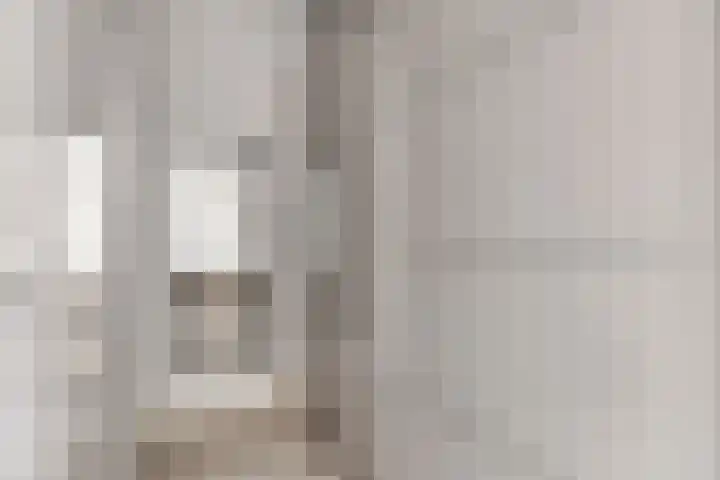 De Scheifelaar 314 Veghel thumbnail 29