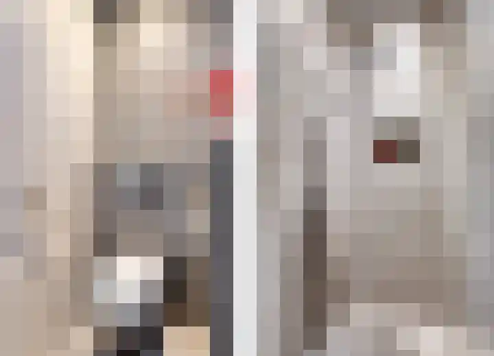 De Scheifelaar 314 Veghel thumbnail 32