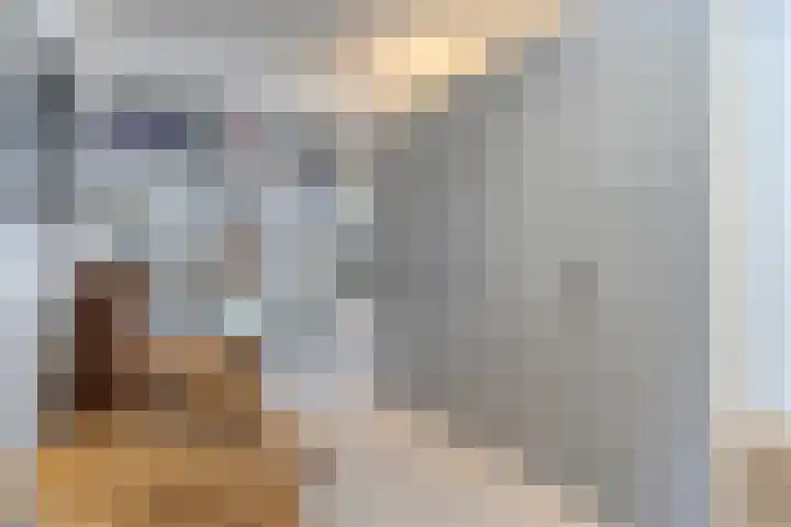 De Scheifelaar 314 Veghel thumbnail 33