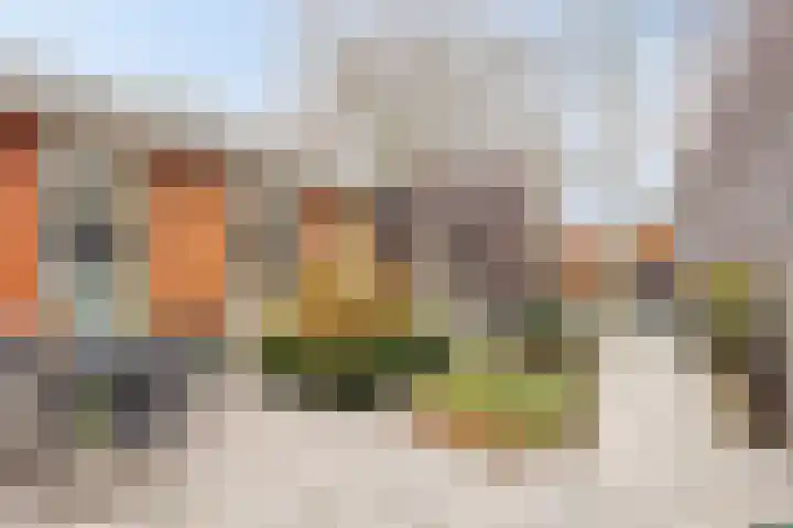 De Scheifelaar 314 Veghel thumbnail 35
