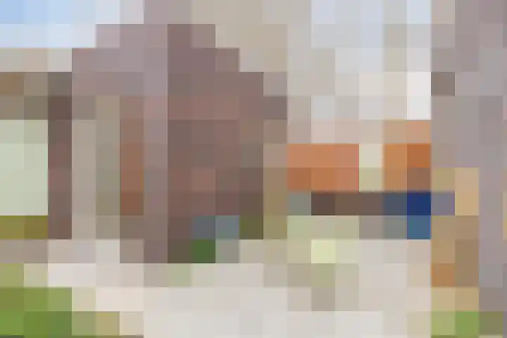 De Scheifelaar 314 Veghel thumbnail 39