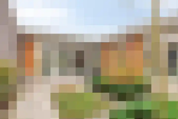 De Scheifelaar 314 Veghel thumbnail 5
