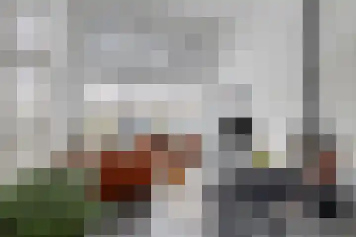 De Scheifelaar 314 Veghel thumbnail 8