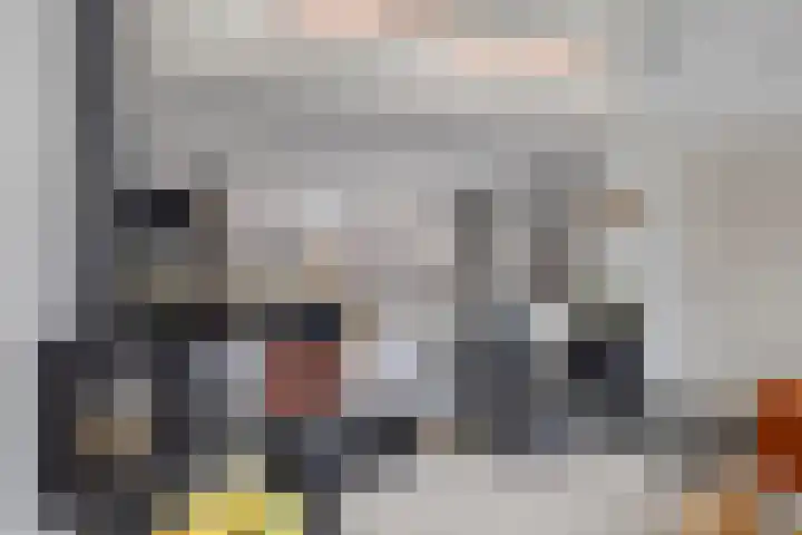 De Scheifelaar 314 Veghel thumbnail 9