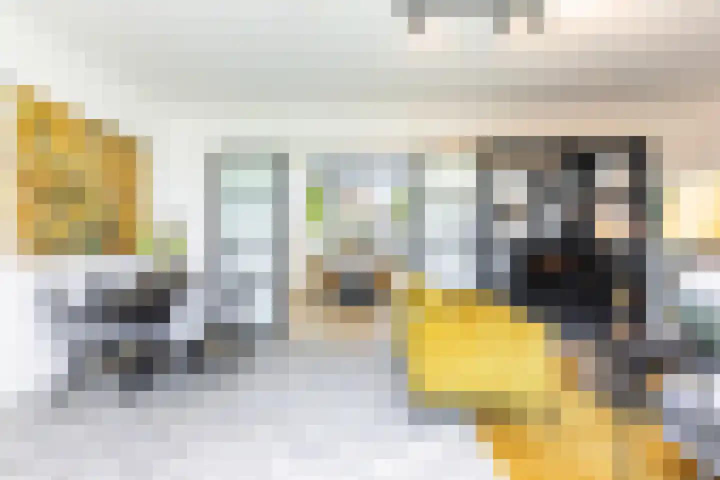 De Scheifelaar 322 Veghel thumbnail 20