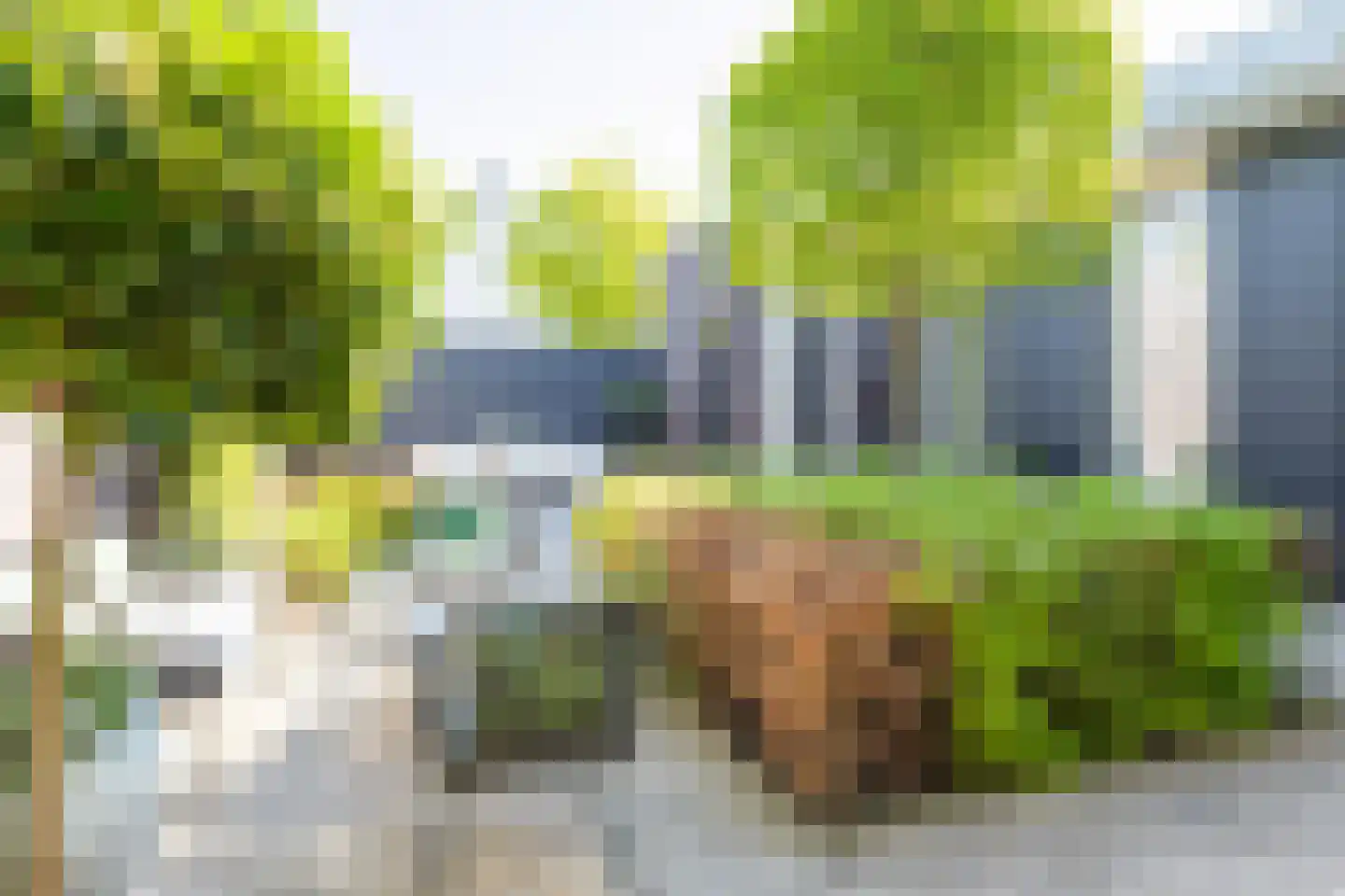 De Scheifelaar 322 Veghel thumbnail 40