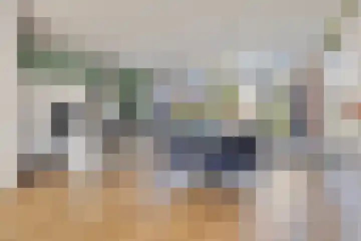 De Scheifelaar 323 Veghel thumbnail 10