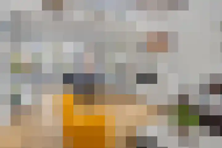 De Scheifelaar 323 Veghel thumbnail 11