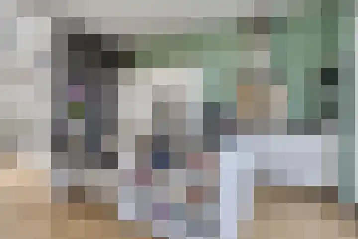 De Scheifelaar 323 Veghel thumbnail 13