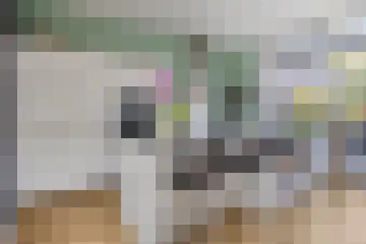 De Scheifelaar 323 Veghel thumbnail 14