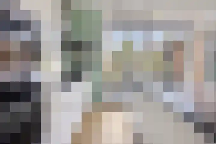 De Scheifelaar 323 Veghel thumbnail 15