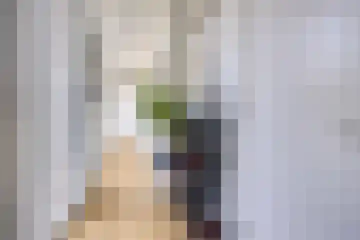 De Scheifelaar 323 Veghel thumbnail 17