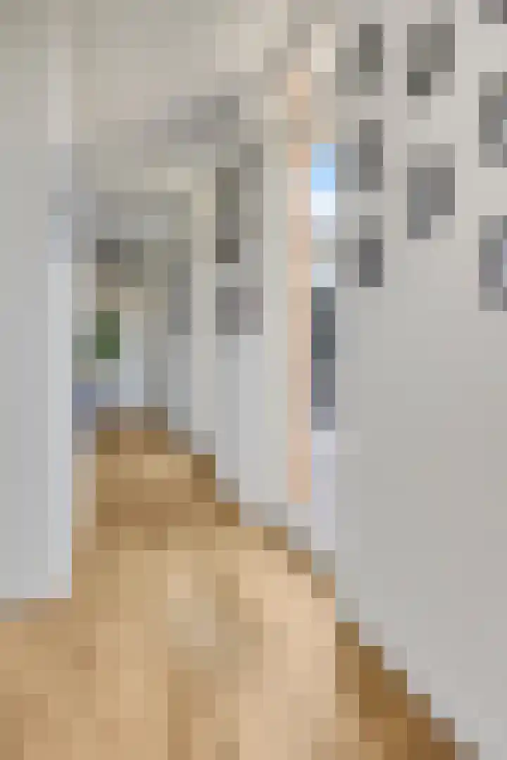 De Scheifelaar 323 Veghel thumbnail 18