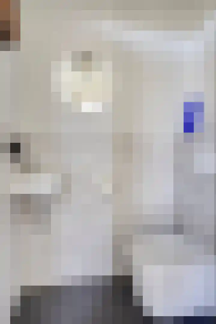 De Scheifelaar 323 Veghel thumbnail 19