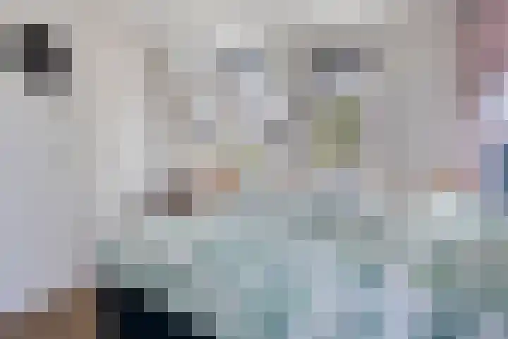 De Scheifelaar 323 Veghel thumbnail 22