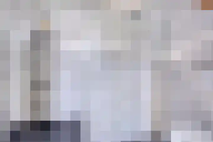 De Scheifelaar 323 Veghel thumbnail 24