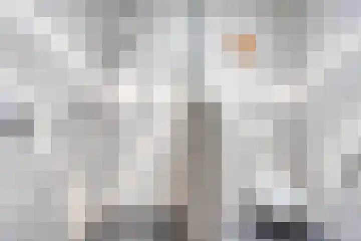 De Scheifelaar 323 Veghel thumbnail 25
