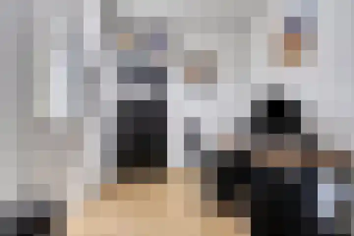De Scheifelaar 323 Veghel thumbnail 26