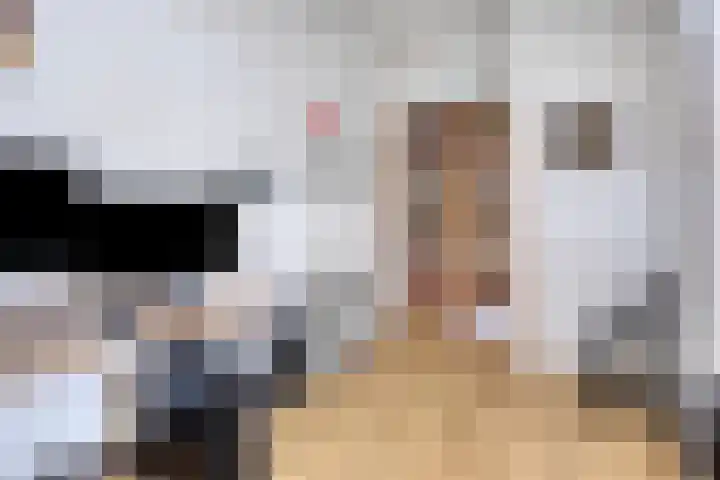De Scheifelaar 323 Veghel thumbnail 27