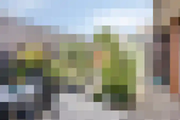De Scheifelaar 323 Veghel thumbnail 29
