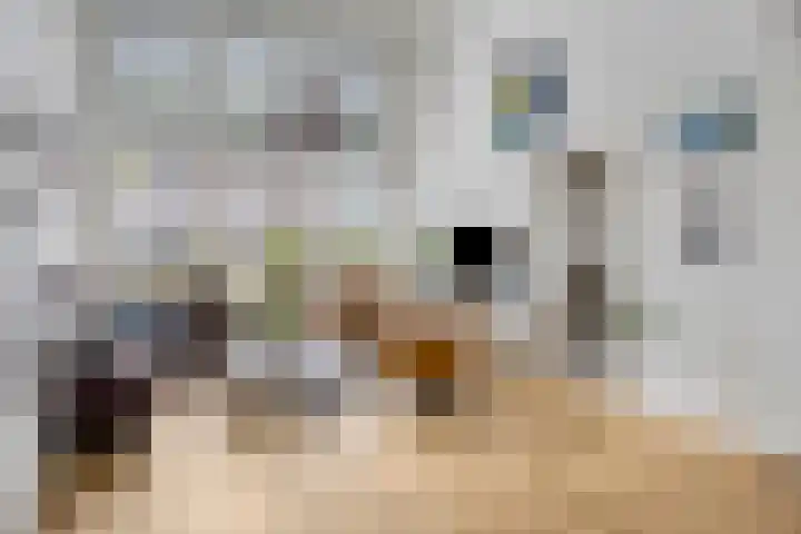 De Scheifelaar 323 Veghel foto 3